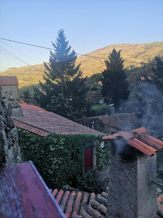 Вилла Casas Na Terra Сейя Экстерьер фото